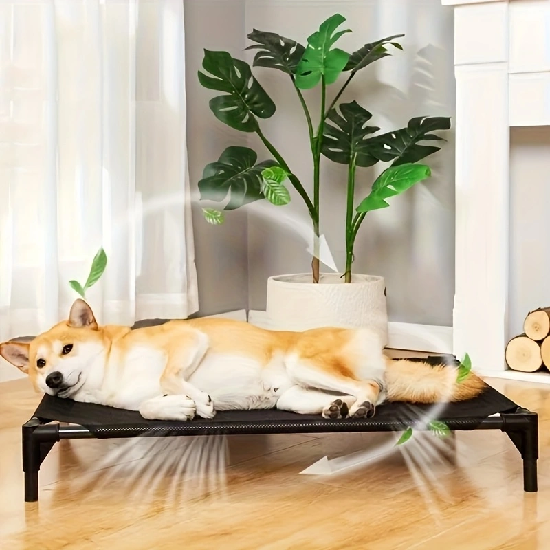 Cooling Elevated Dog Bed - Rai - đánh giá và giá Outdoor Camping Dog Bed